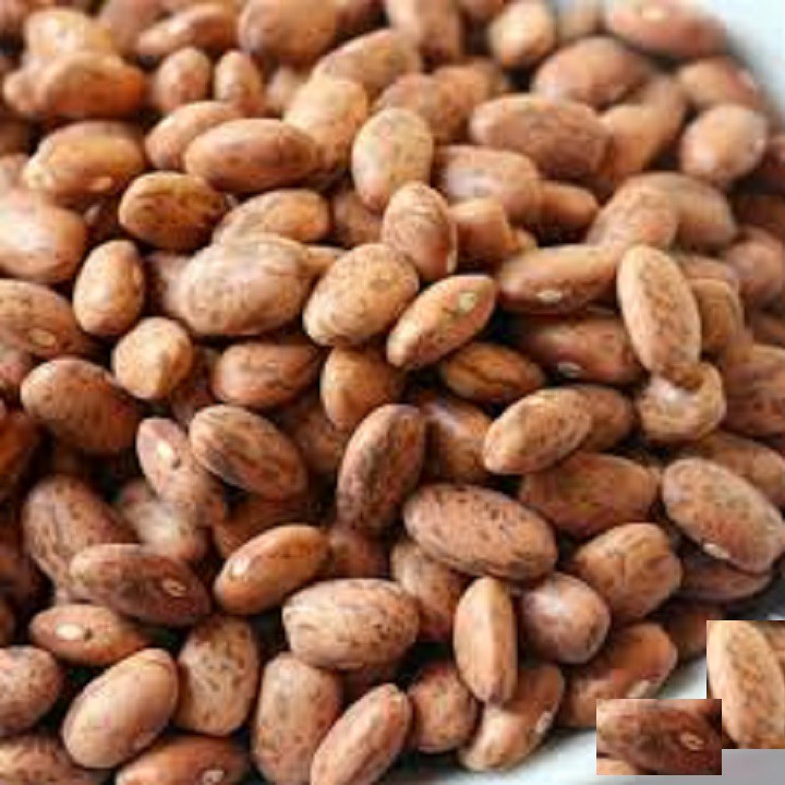 ĐẬU CÚC PINTO (hạt chưa chế biến) 1kg - Viettin Mart