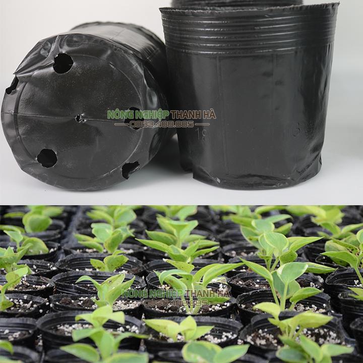 1 Kg Chậu nhựa mềm trồng cây kích thước 18x16