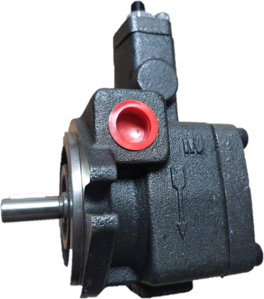 Bơm cánh gạt VP20 ( bơm máy bẻ đai sắt )