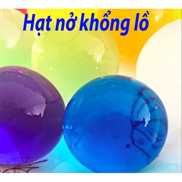 HẠT NỞ KHỔNG LỒ TÚI 50/100/150/200 viên