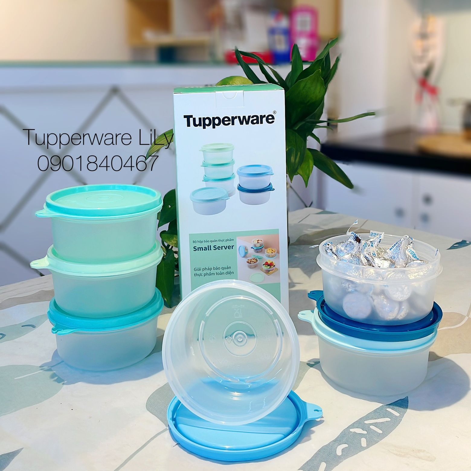 Bộ hộp BQTP Colorful Small Server 200ml (6 hộp) màu mới - Tupperware