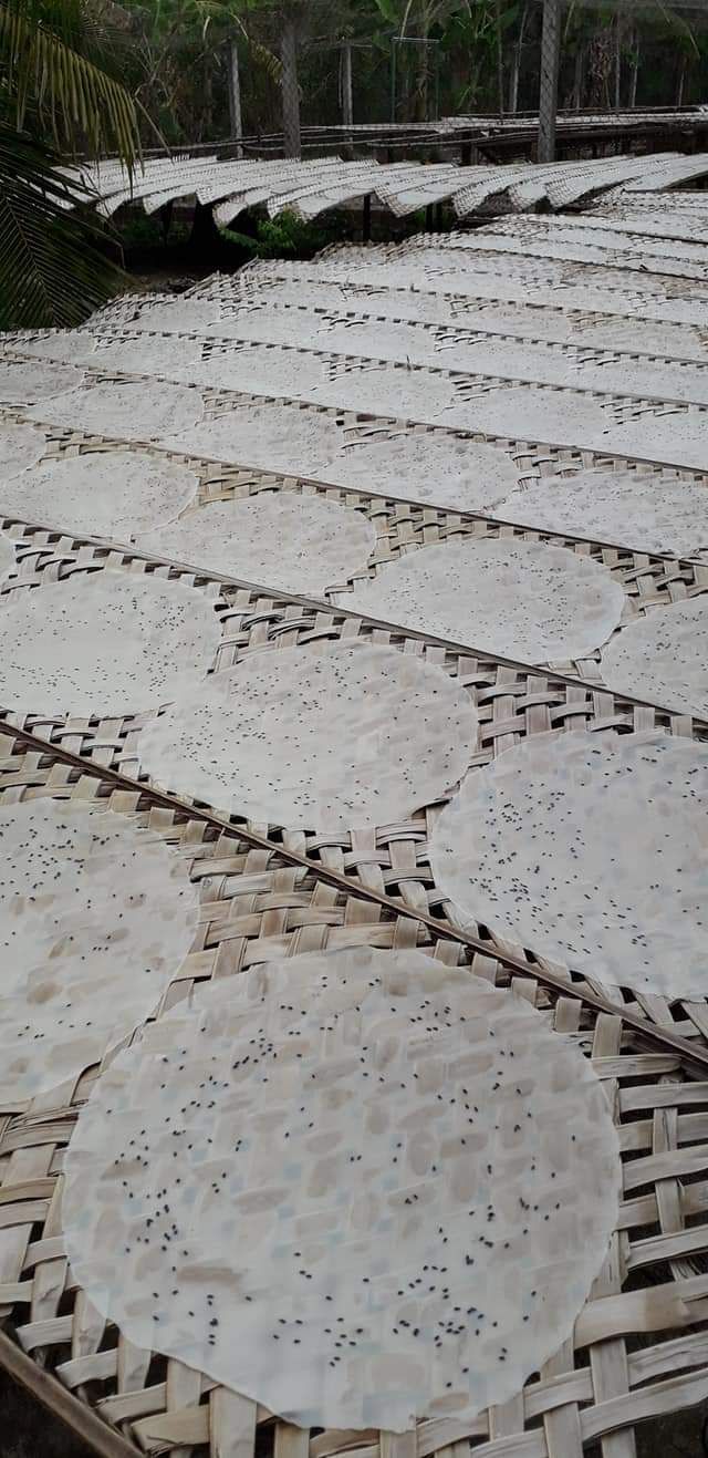 Bánh tráng mỹ lồng 10 cái to