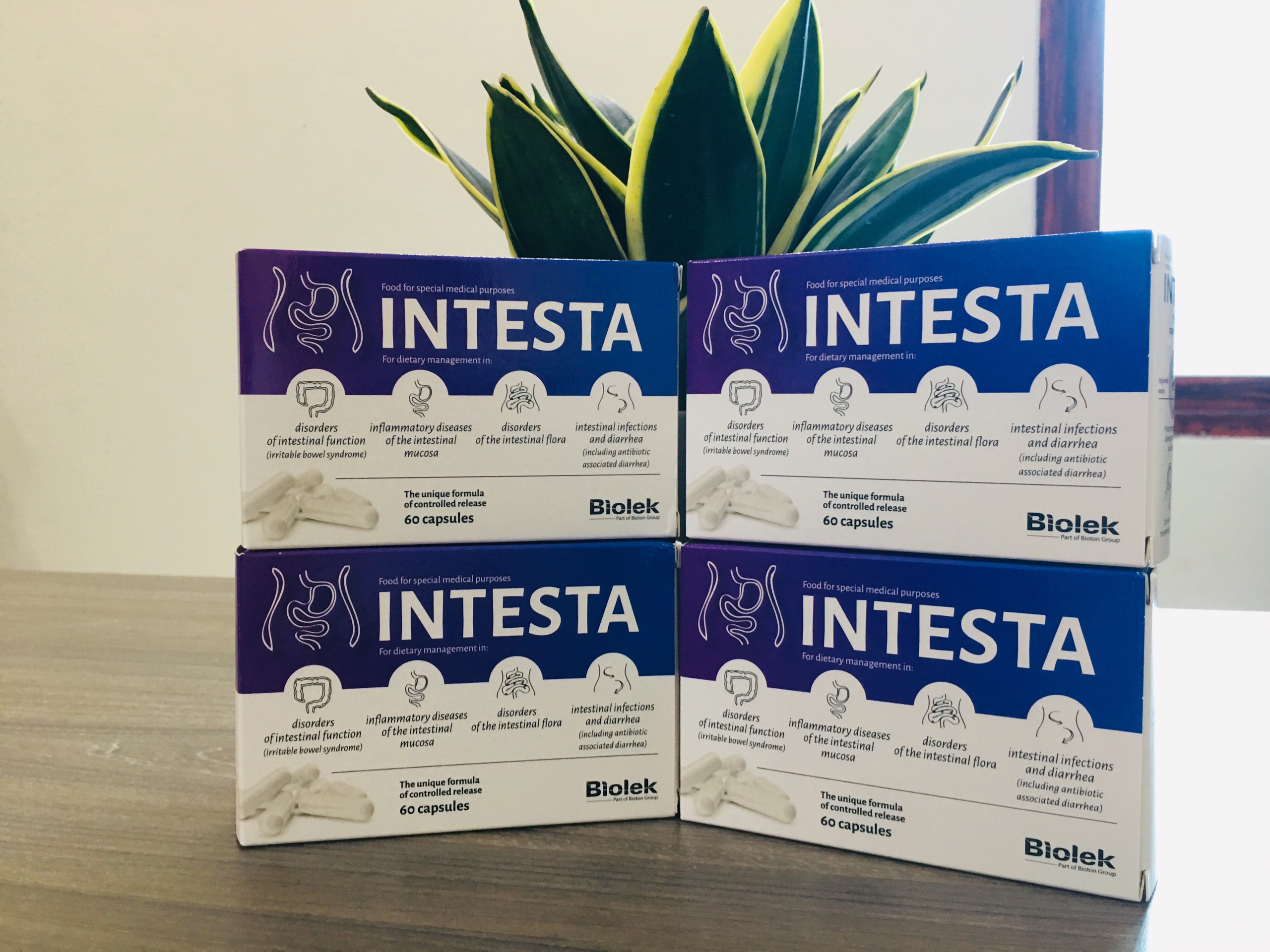 Intesta - Sản phẩm cho bệnh đại tràng