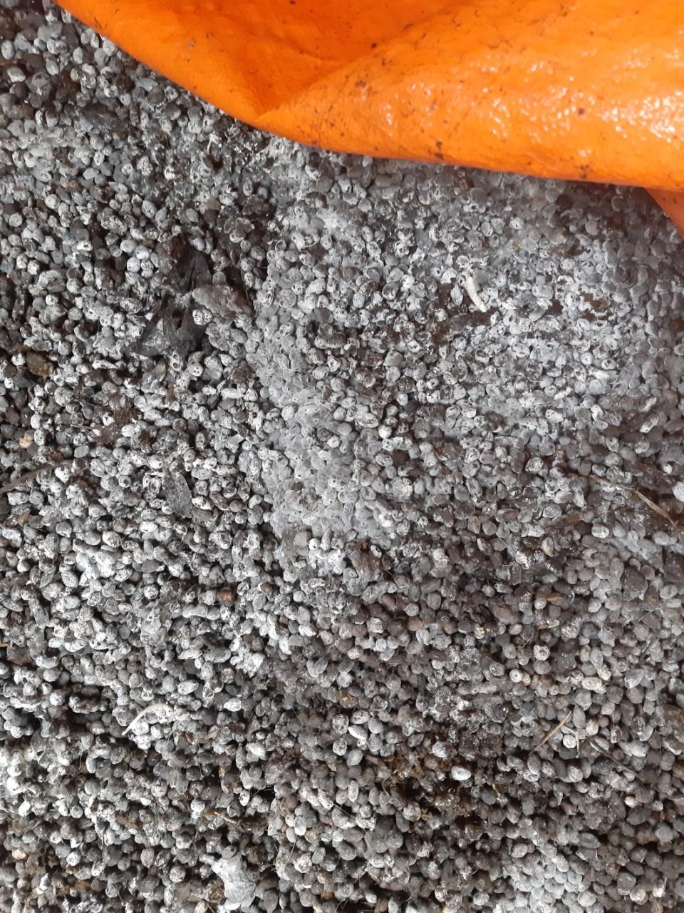 Phân dê viên đã sử lý nấm trichoderma với lan xanh đơn vị tính 1kg
