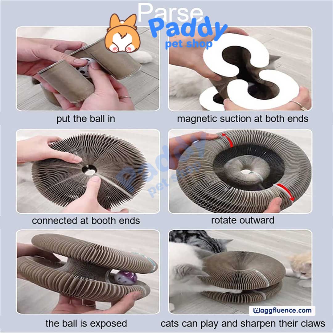 Cào Móng Giấy Magic Xoay Tròn Đồ Chơi Cho Mèo