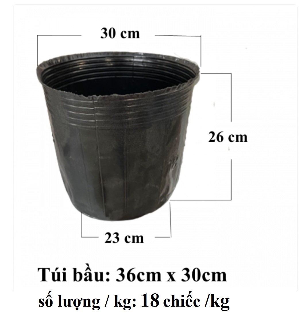 Set 2 chiếc bầu ươm cây cỡ to kt 30x36