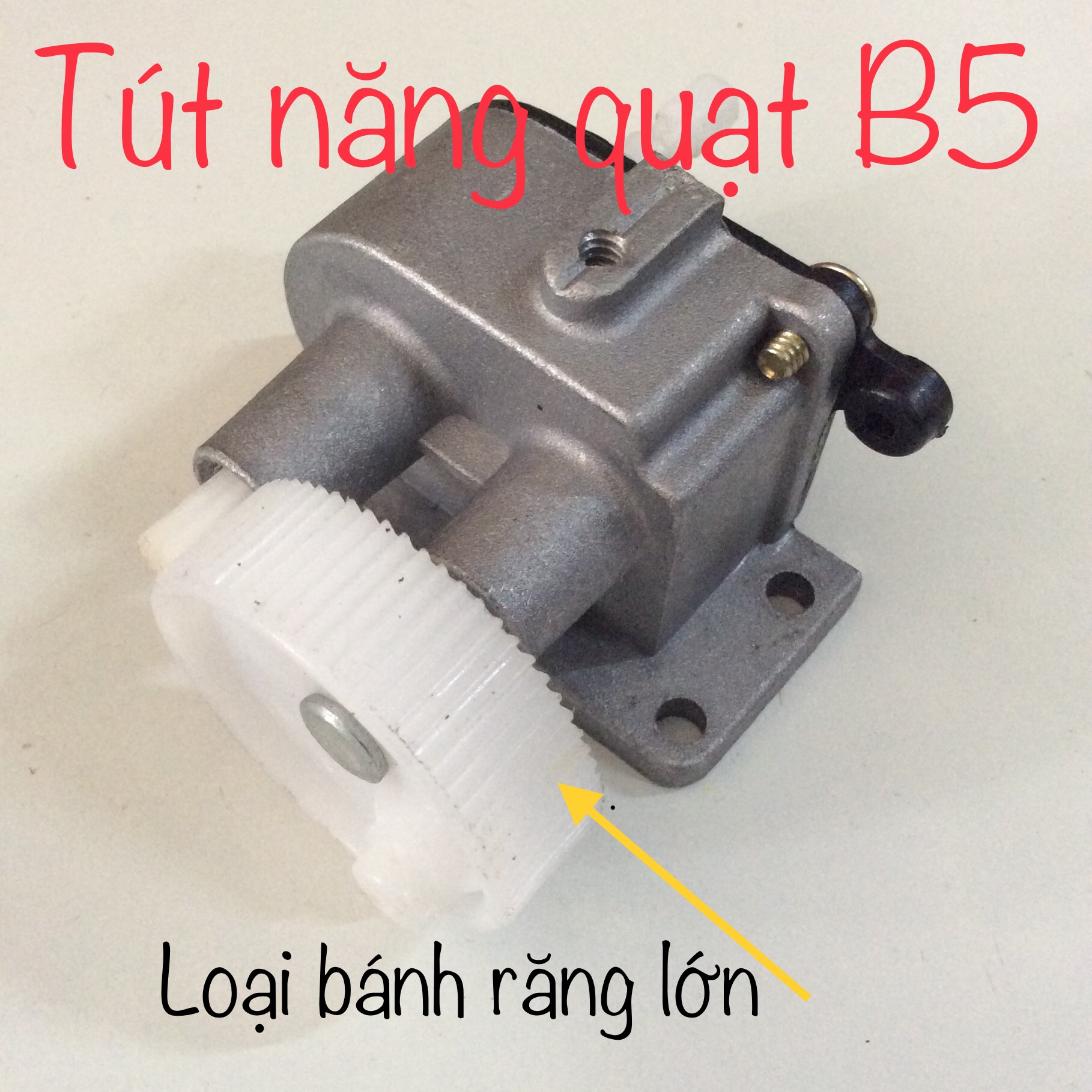 Nhông quạt B5 - Nhông tuốc năng bánh răng lớn B5