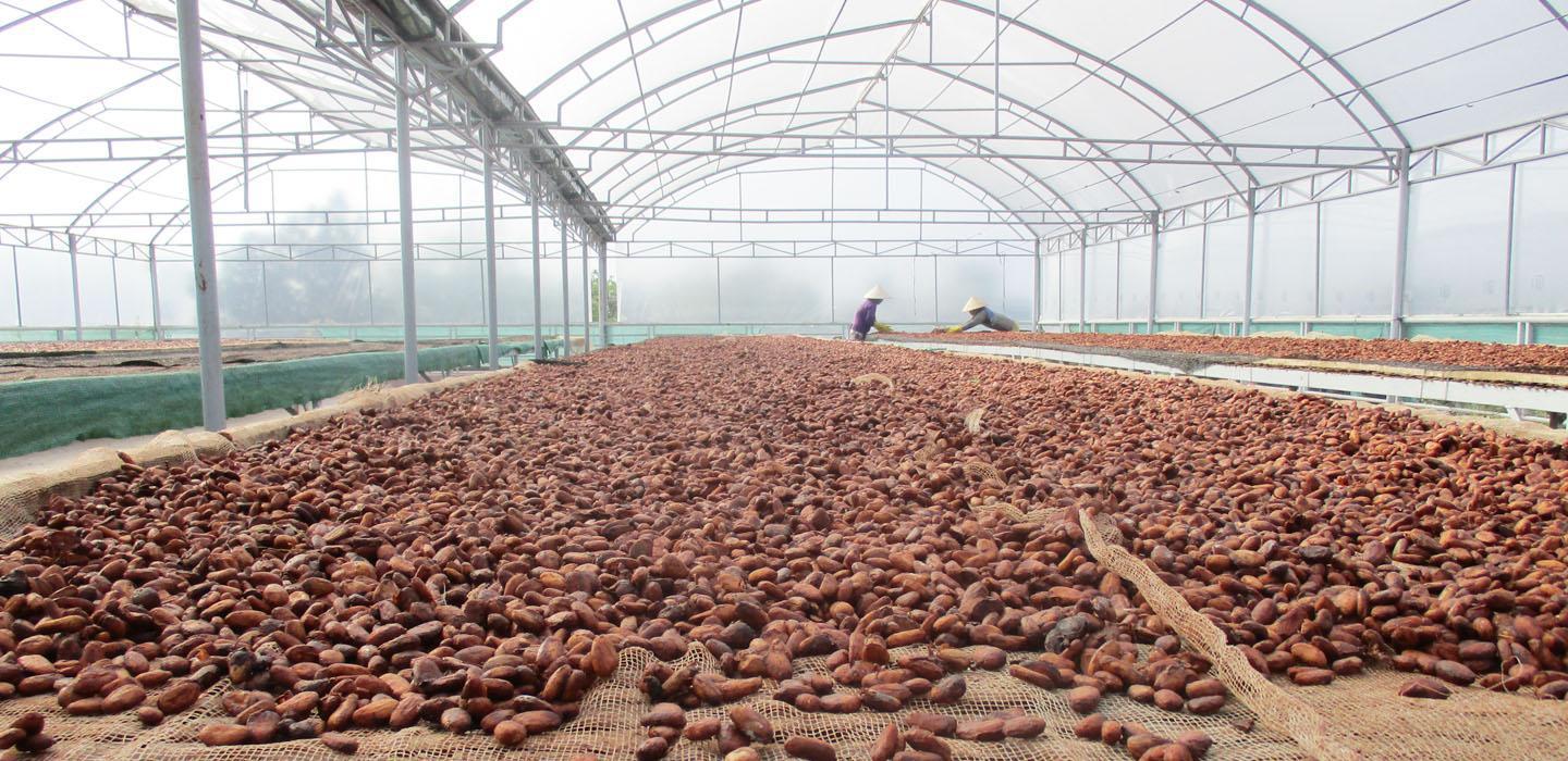 [HCM]Bột Cacao Nguyên Chất LACACAO STANDARD 100g -The Kaffeine
