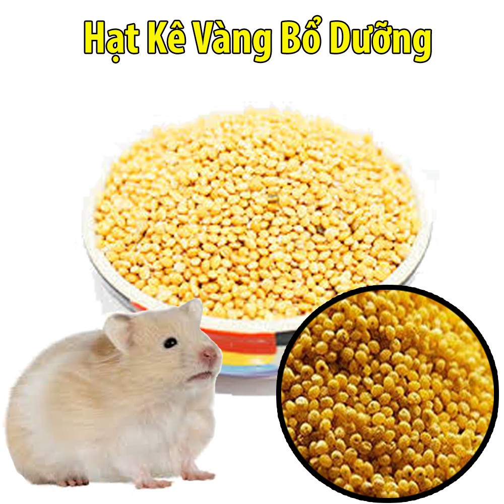 Hạt kê vàng thơm ngon đầy dinh dưỡng thức ăn cho hamster, vẹt...