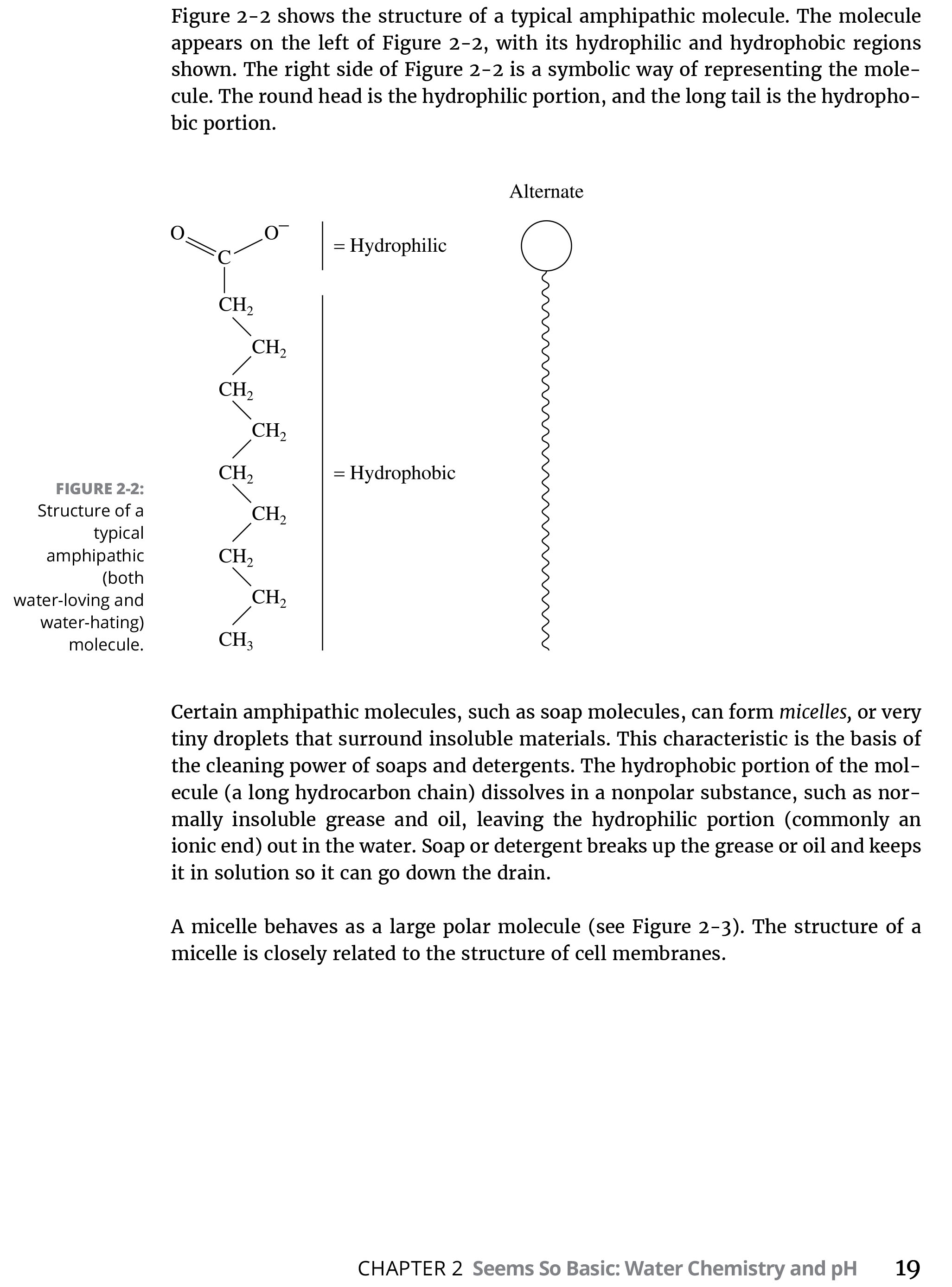 Sách Biochemistry For Dummies, 3rd Edition