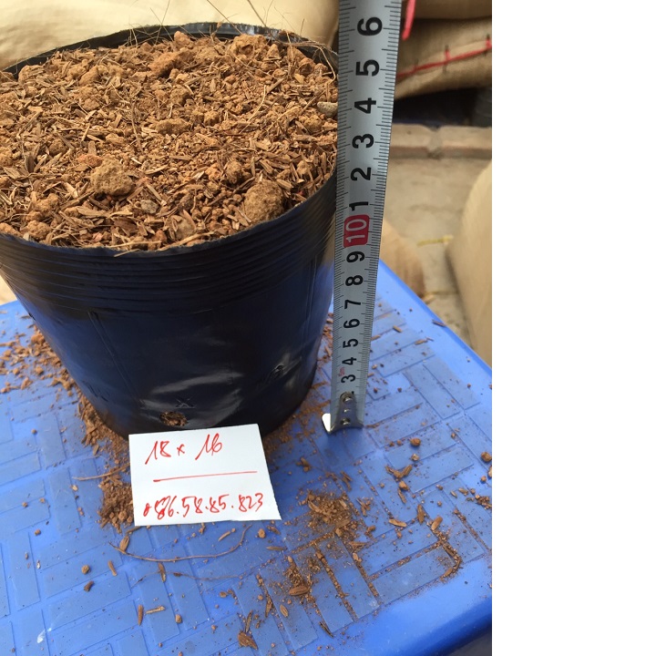 Set 1kg Bịch Bầu ươm cây cảnh