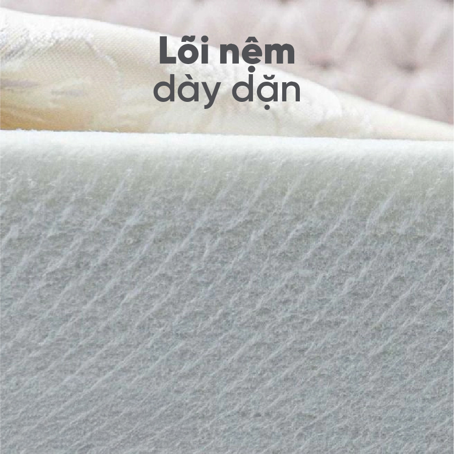 [0% Installment Payment] Everon Padding 3-Fold Pressed Cotton Mattress - 5-Year Warranty - Convenient.