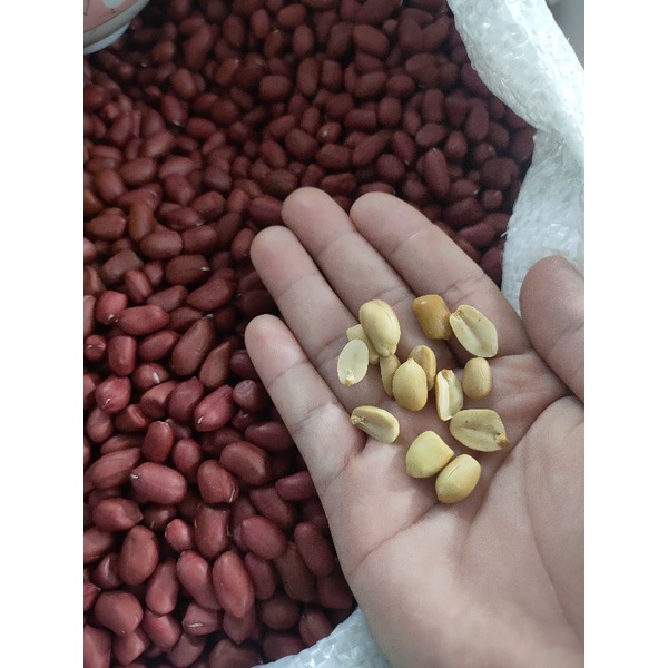 [HCM]Lạc đỏ/ đậu phộng đỏ - 250gr - lạc sống