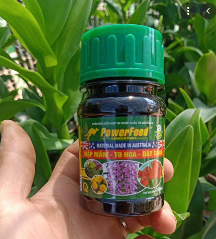Phân Cá Powerfeed - Mập Mầm, To Hoa, Dày Cánh (Chai 100ml)