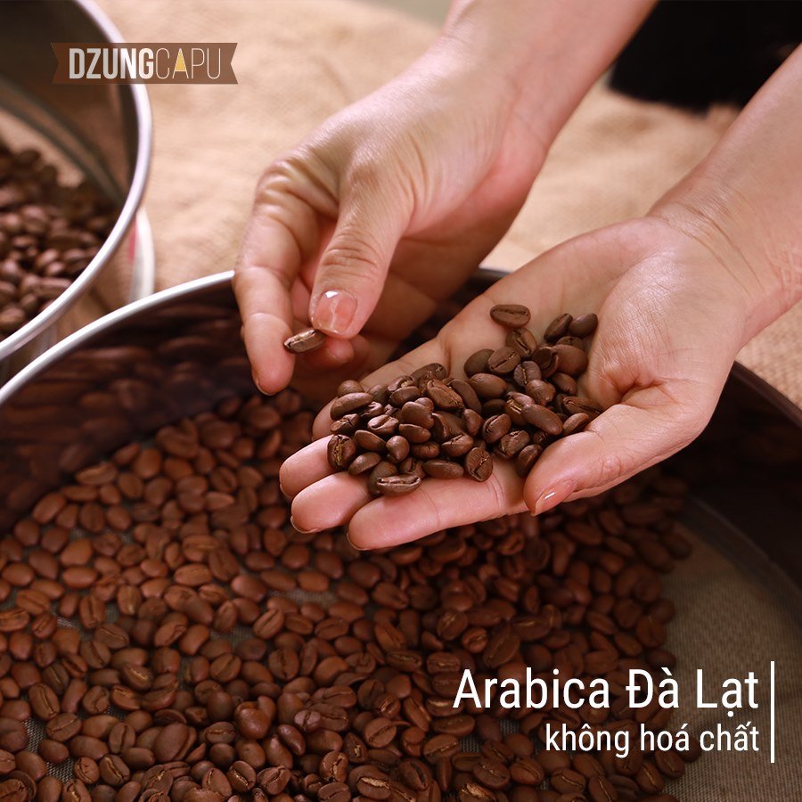 Cà phê Arabica Cầu Đất 250g -  DzungCapu Specialty Coffee