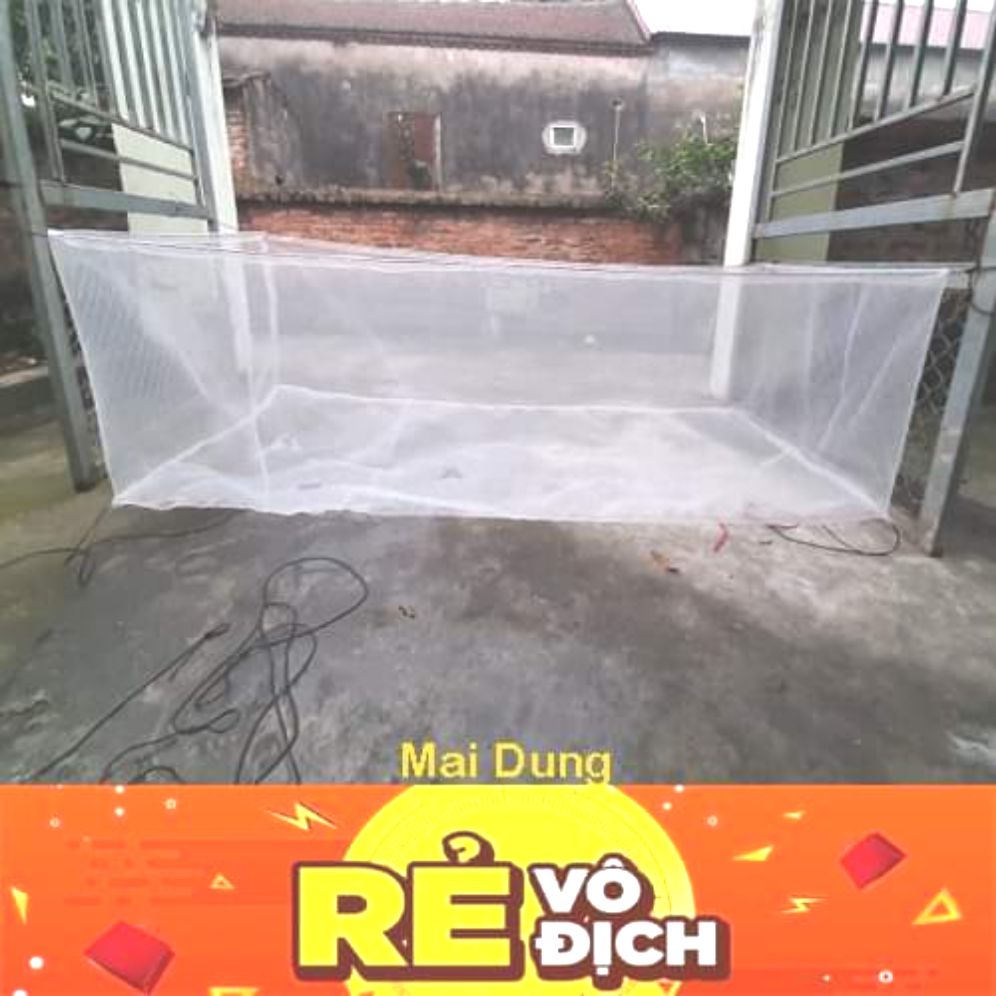 tráng nuôi ốc nhồi mới nở 2x1x0,6