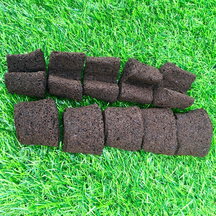 Set 10 viên mút hữu cơ ươm kie Hà Lan