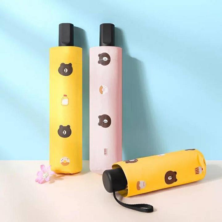 hot Ô gấu Brown gấp gọn
