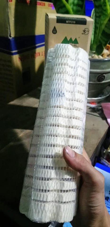 [HCM]Sứ củ sen soắn ốc thế hệ 3 (Bacteria House) Mountain tree Root 3