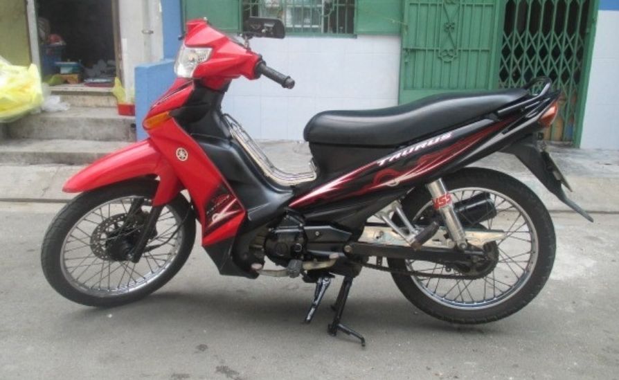 Tem rời taurus đỏ đen lông vũ