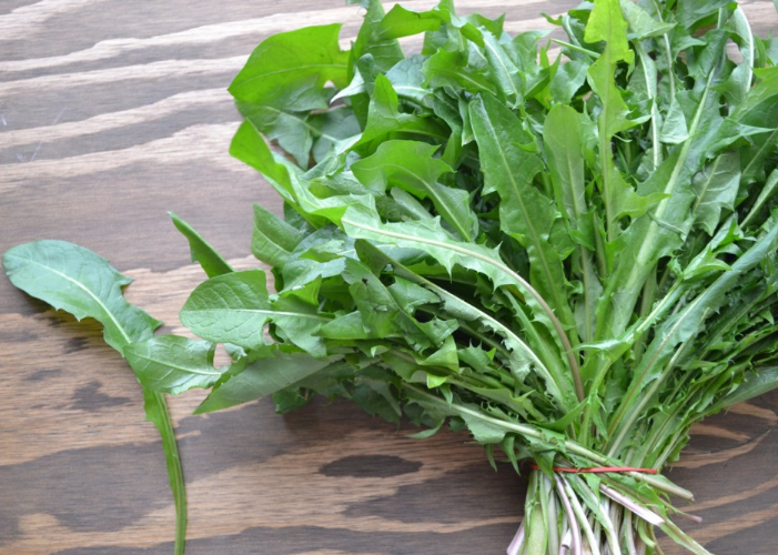 Hạt giống hoa bồ công anh ( 1 gói 100 hạt )