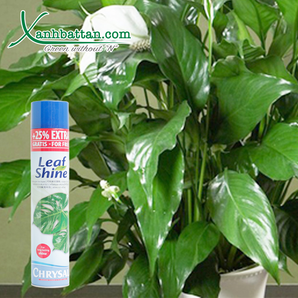Xịt Bóng Lá Cho Cây Kiểng Leafshine Crystal 750 ml