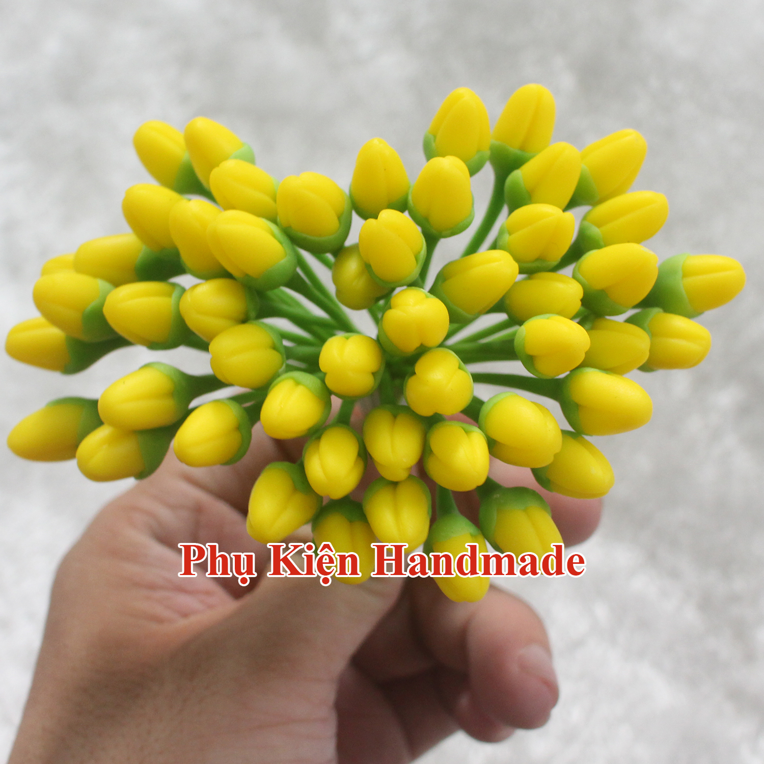 Nụ hoa mai/ đào