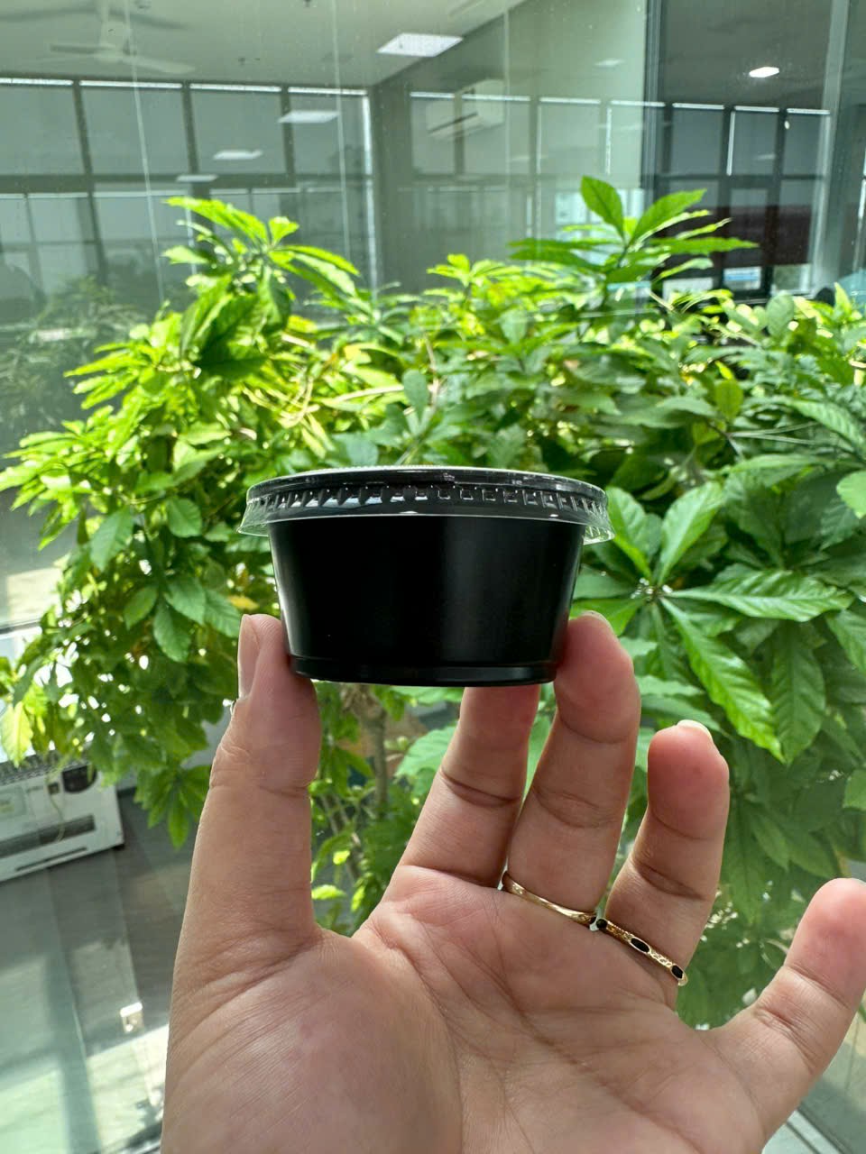 Hủ chấm, hủ sốt 2oz (=60ml) ( 1 cây 100 hủ + 1 cây 100 nắp)