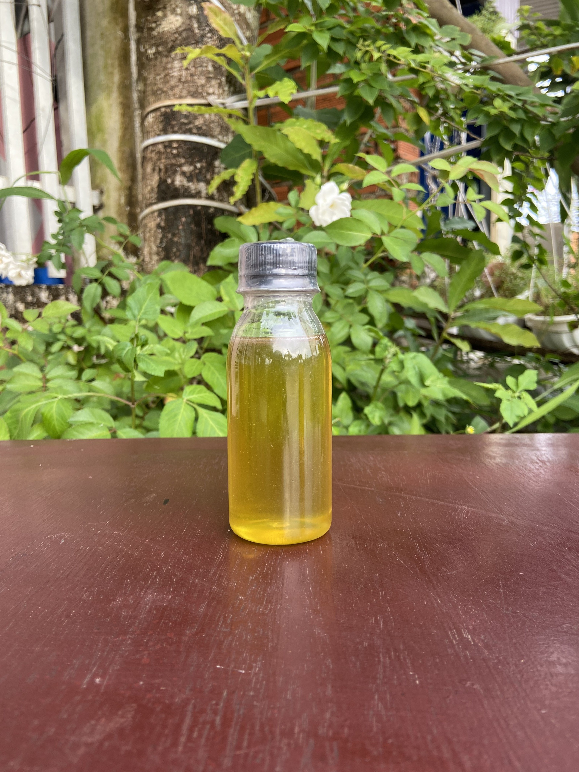 Mật Ong Bạc Hà Mini/ Chai 100ml