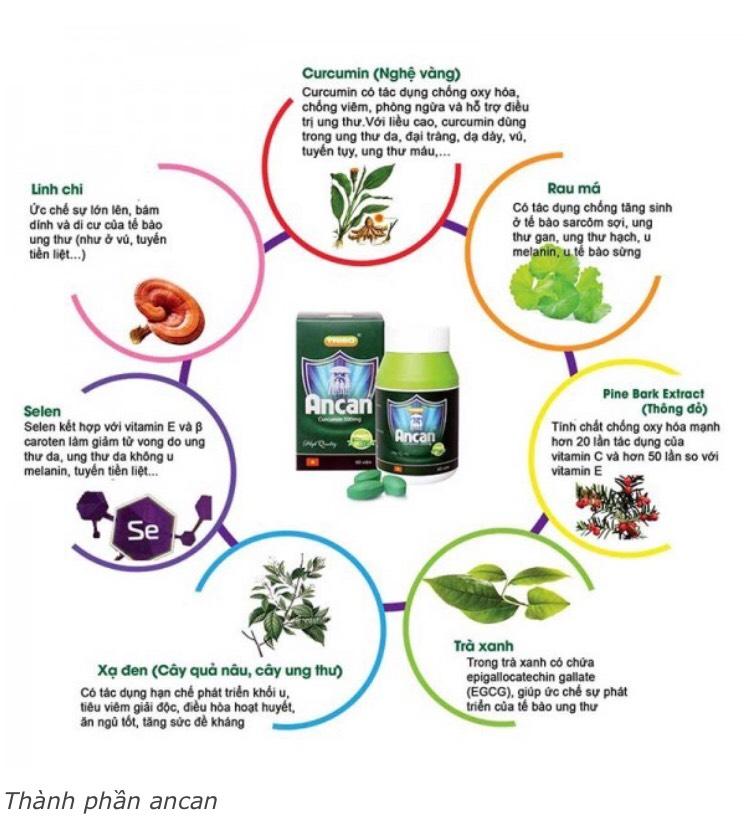 Ancan curcumin 500mg