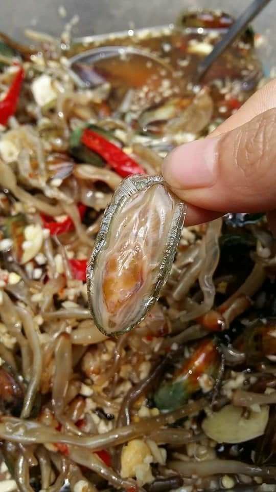 Mắm cà xỉu  500g