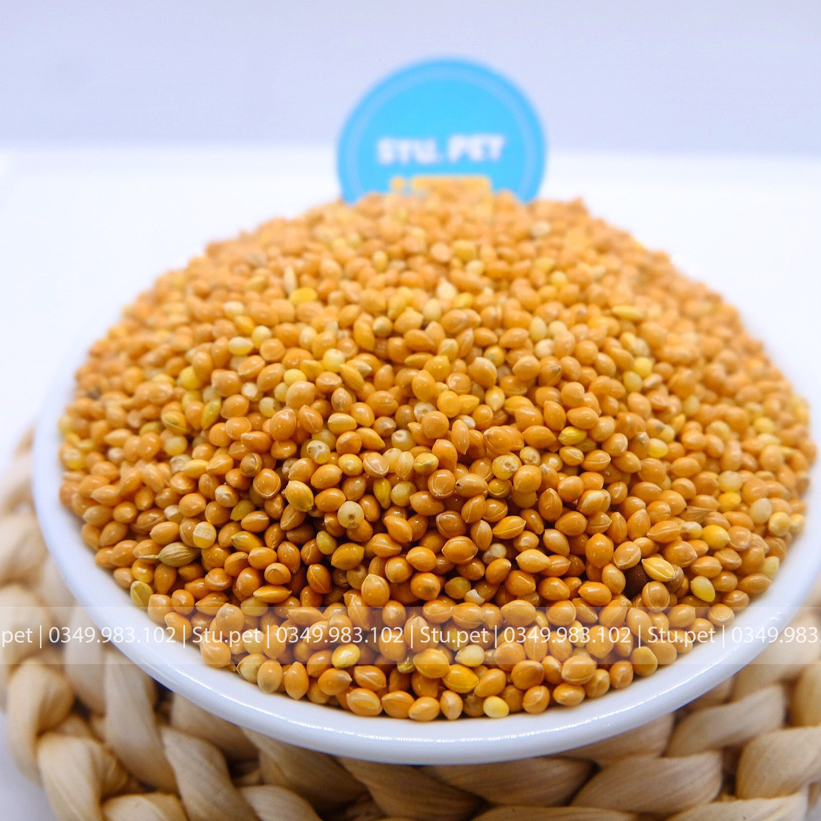 [MỚI KHAI TRƯƠNG] Hạt Kê thức ăn cho Hamster, vẹt, sóc bay, thỏ…100g