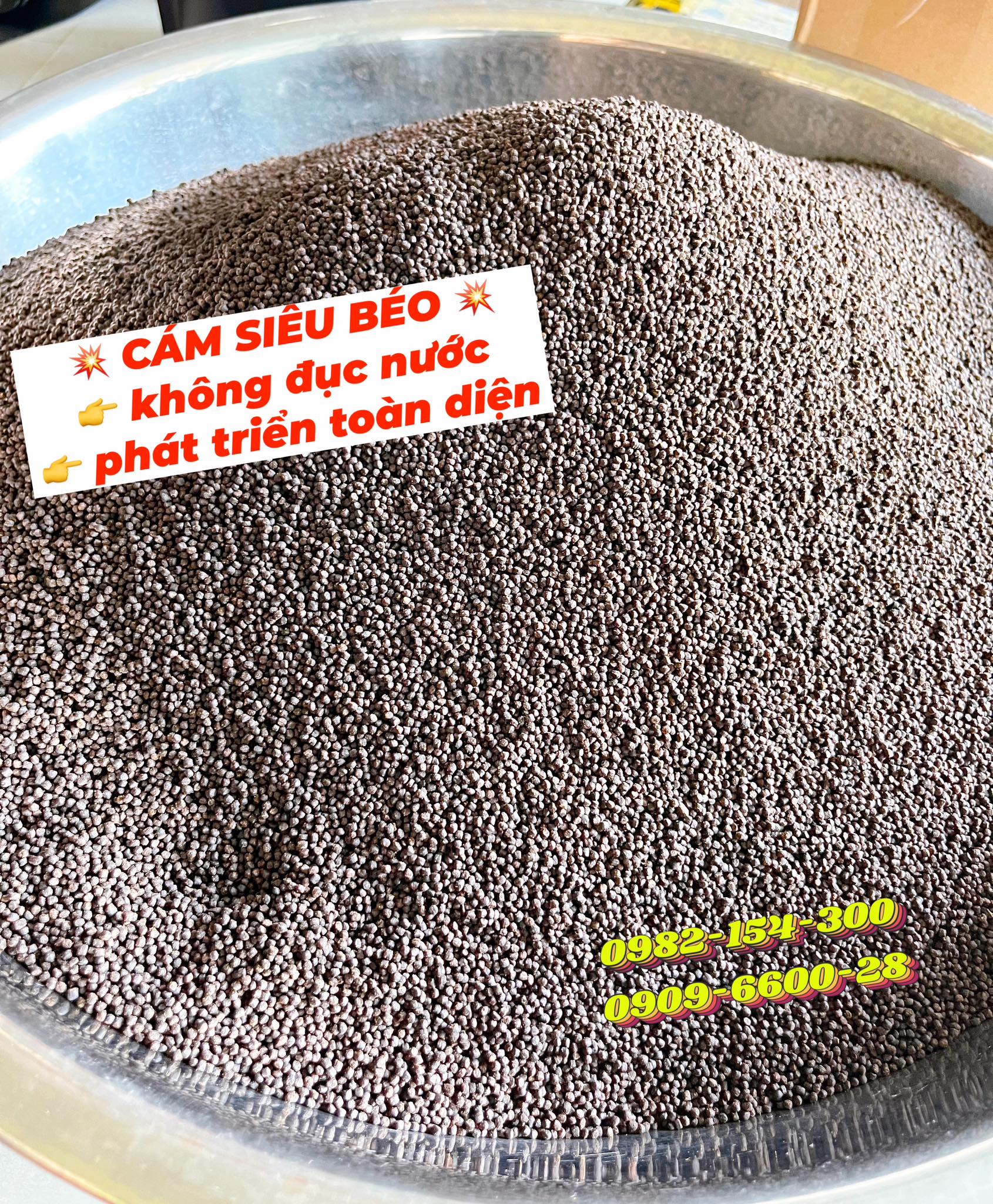 CÁM SIÊU ĐẠM SIÊU BÉO CAO CẤP CHO CÁ CẢNH , TÉP CẢNH