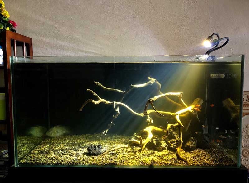 Đèn rọi Biotop 7W ánh sáng vàng