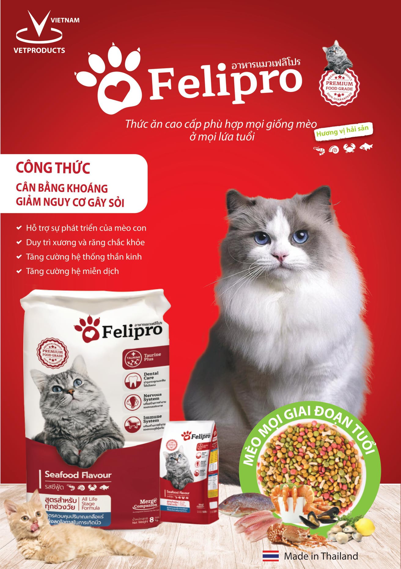 Thức ăn hạt mèo Felipro cho mèo mọi lứa tuổi