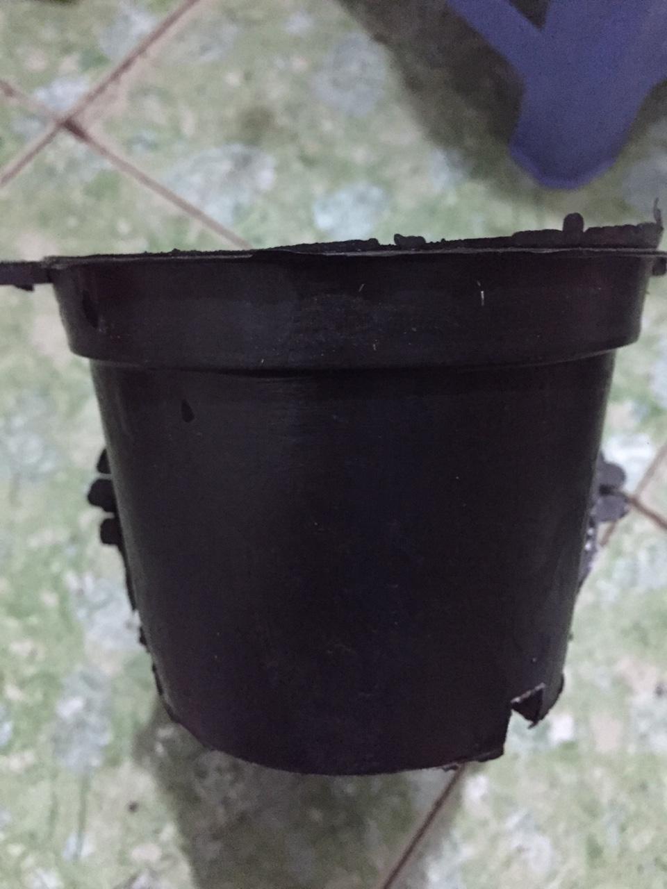 40 chậu bít 12 cm