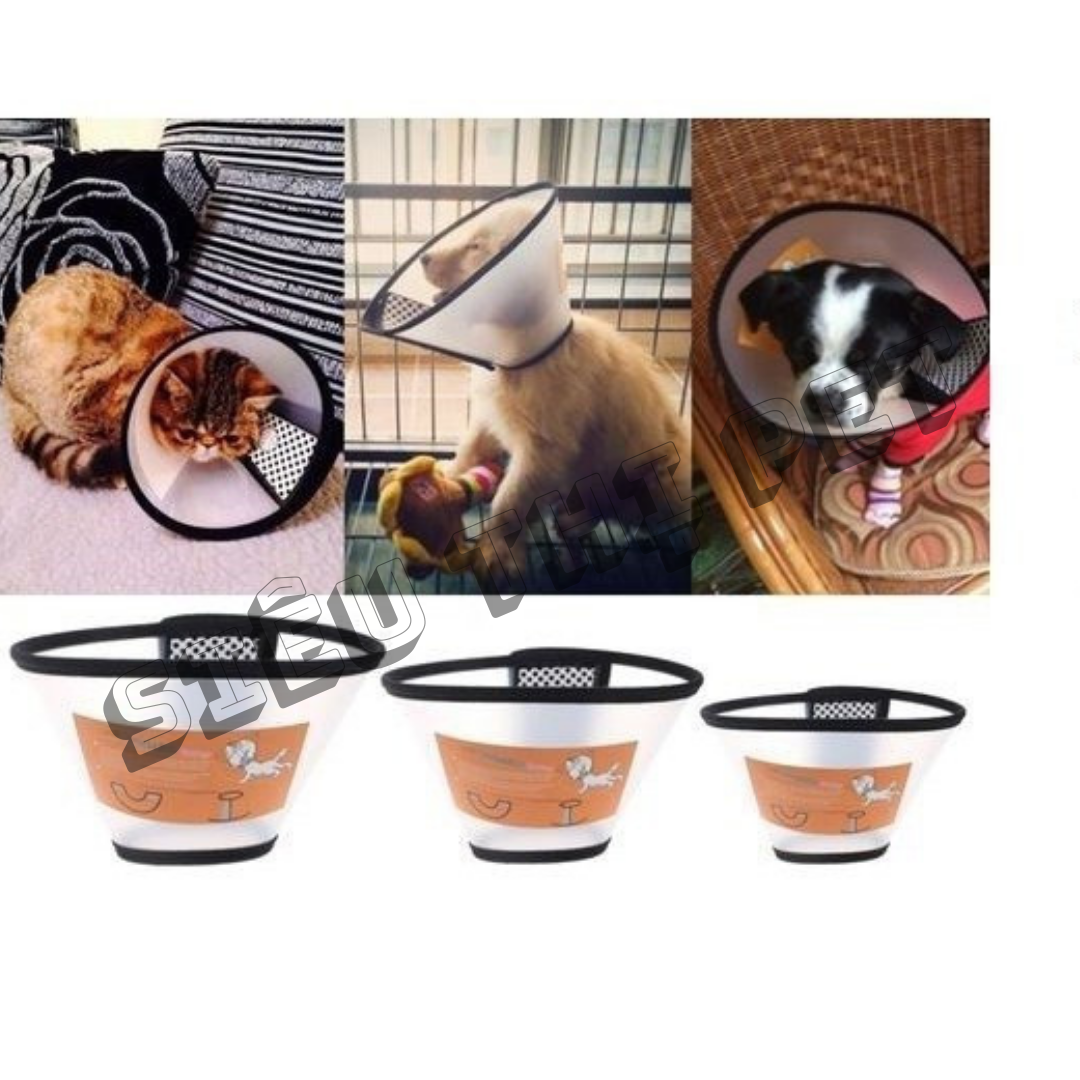 (FREESHIP) LOA VỒNG CỔ CHỐNG LIẾM CHO THÚ CƯNG