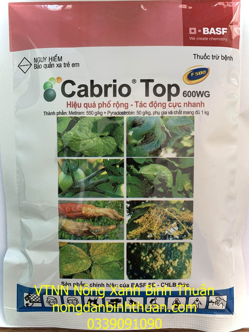 Cabrio top 600wg Dưa hấu bị sương mai, Cà chua, Dưa leo bị sương mai, Ớt bị thân thư, Khoai tây bị mốc sương ,Đậu nành bị rỉ sắt , Xoài: bị thán thư, Cam: bị ghẻ sẹo