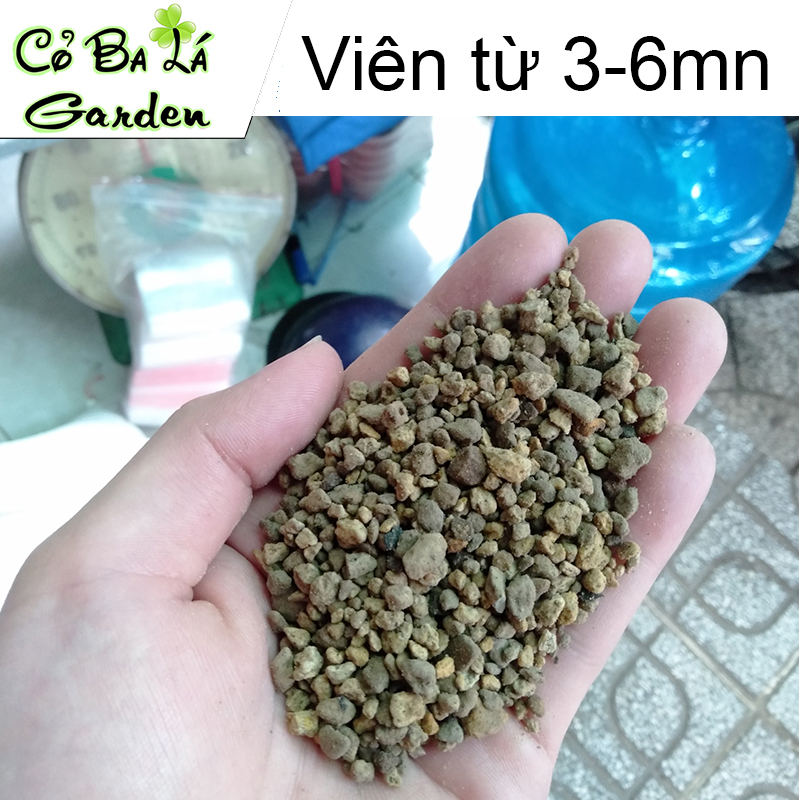 Đá Pumice-Đá Bọt núi lửa (500gr)