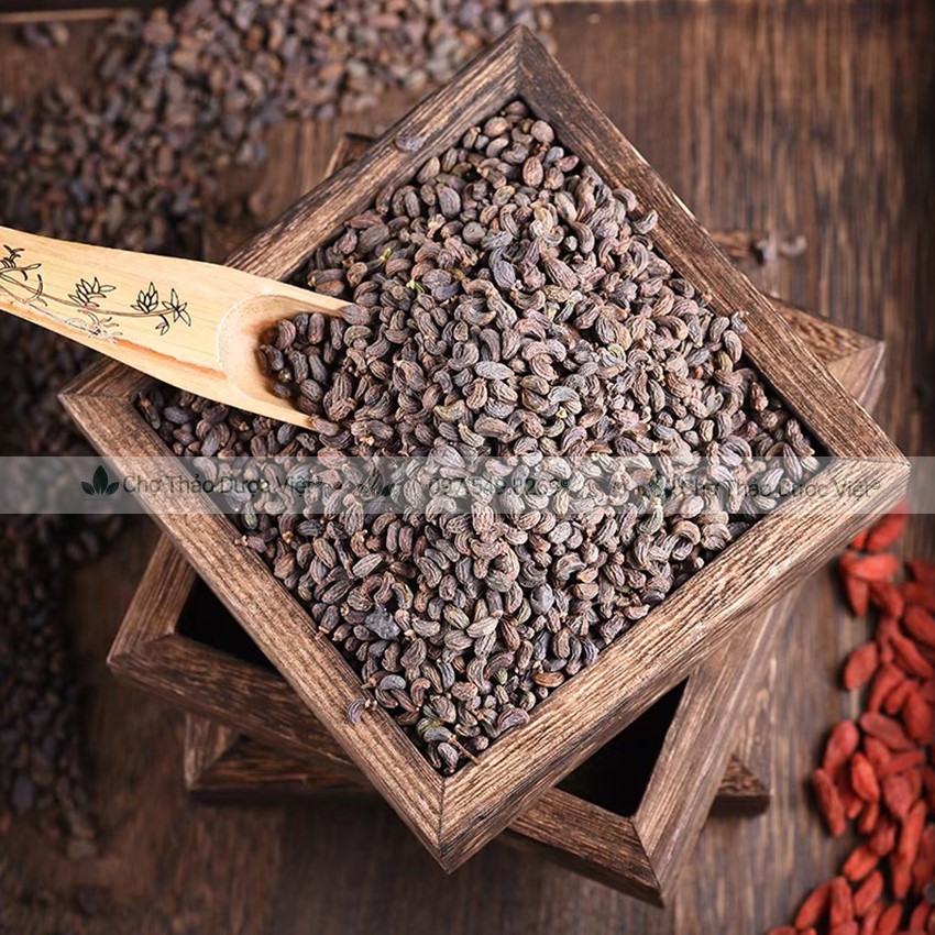 Ngưu bàng tử khô 100g, hạt ngưu bàng, sạch, đẹp, không lẫn tạp chất - Chợ Thảo Dược Việt