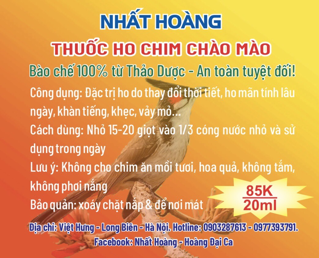 Thuốc ho Nhất Hoàng dành cho chào mào
