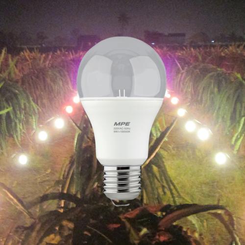 ĐÈN LED BULB THANH LONG 9W / 12W MPE (LBF)