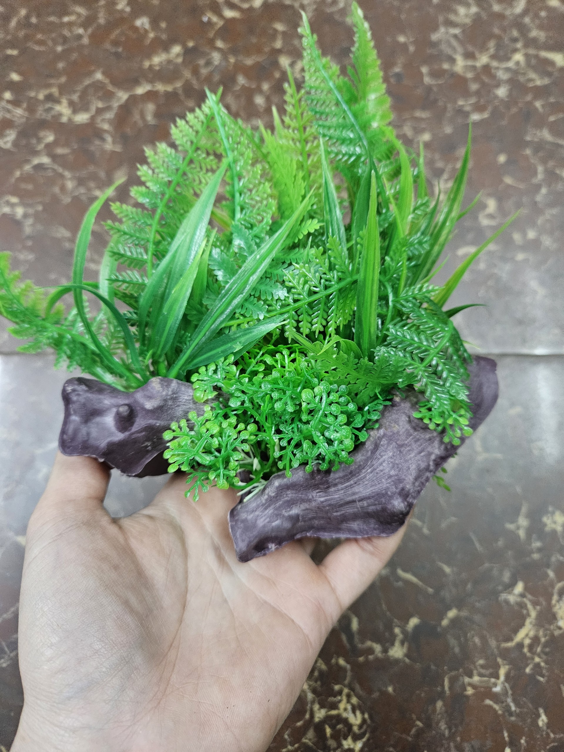 Cây nhựa trang trí bể cá: mẫu đế gỗ