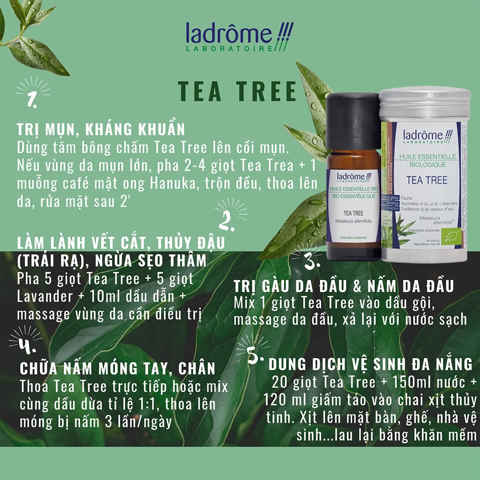 Tinh dầu Tràm Trà hữu cơ - Tea Tree Organic Essential Oil 10ml