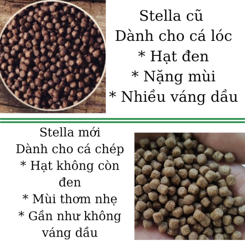 Cám cá koi Newstella 42% đạm, thức ăn cá koi, thức ăn cá vàng