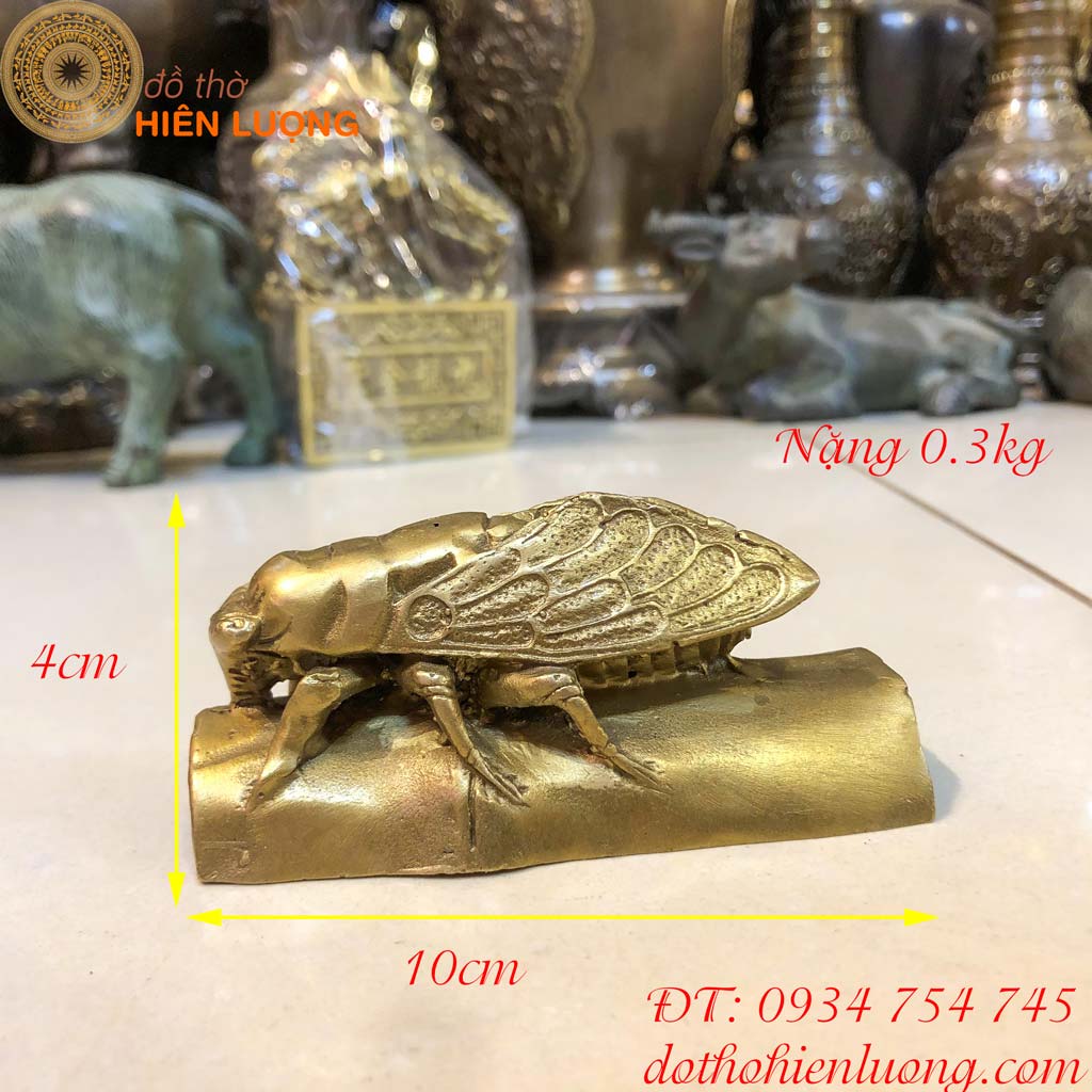 Kim Thiền (Ve Sầu Bằng Đồng)