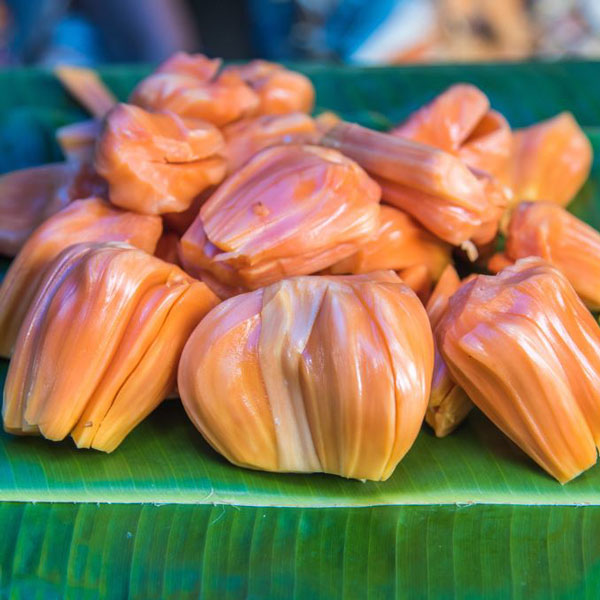 Cây Mít ruột đỏ sơ đỏ ( cây lỡ)