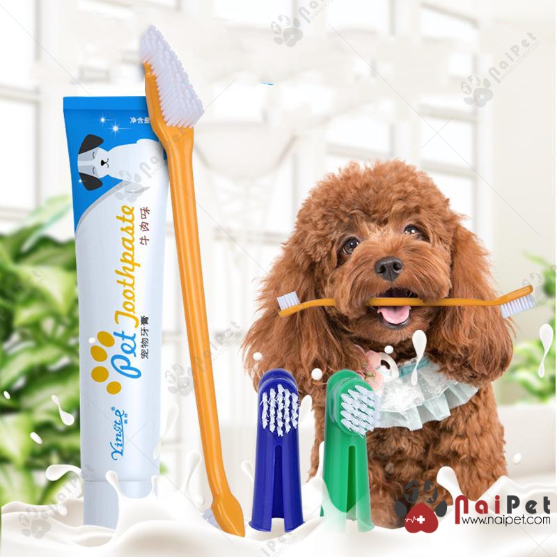 Bộ Đánh Răng Kem Đánh Răng Bàn Chải Đánh Răng Chó Mèo Pet Joothpaste