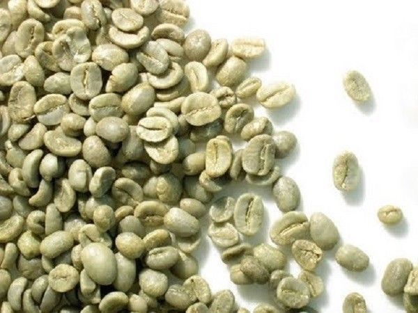 [Túi 1kg Cà Phê Nhân Xanh] Cà phê Nhân Sống Robusta Chưa Rang