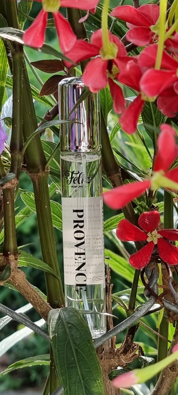Nước hoa mini Feliz provence 20ml